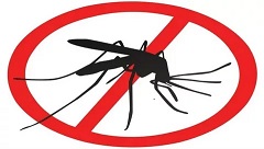О мерах по предупреждению инфекционных заболеваний, передаваемых через укусы комаров
