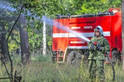 «Лесохранитель» и патрули берегут регион от пожаров