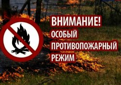 Постановлением правительства Липецкой области на территории региона с 11 по 30 июня 2022 года вводится особый противопожарный режим. 