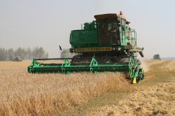 Грязинские сельхозпредприятия завершили уборку зерновых