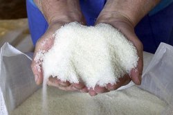 Почти 5 тысяч тонн сахара из нового урожая произведено в Липецкой области