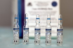 Крупная партия вакцины от коронавируса поступила в Липецкую область