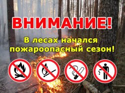 В связи с установившейся погодой в регионе Постановлением администрации Липецкой области с 11 апреля объявляется пожароопасный период.