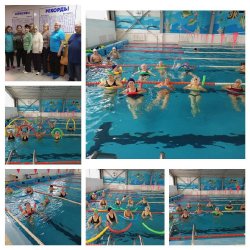 Грязинские пенсионеры посещают бассейн «Дельфин»