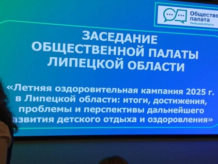 В Общественной палате Липецкой области подвели итоги летней оздоровительной кампании