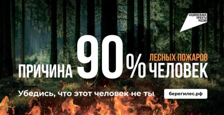 В ЛИПЕЦКОЙ ОБЛАСТИ ВВЕДЕН ЗАПРЕТ ПОСЕЩЕНИЯ ЛЕСОВ